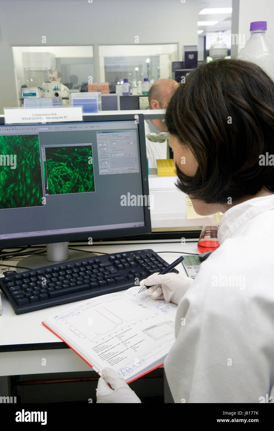 Scientist updates her work journal at the laboratory bench Stock Photo