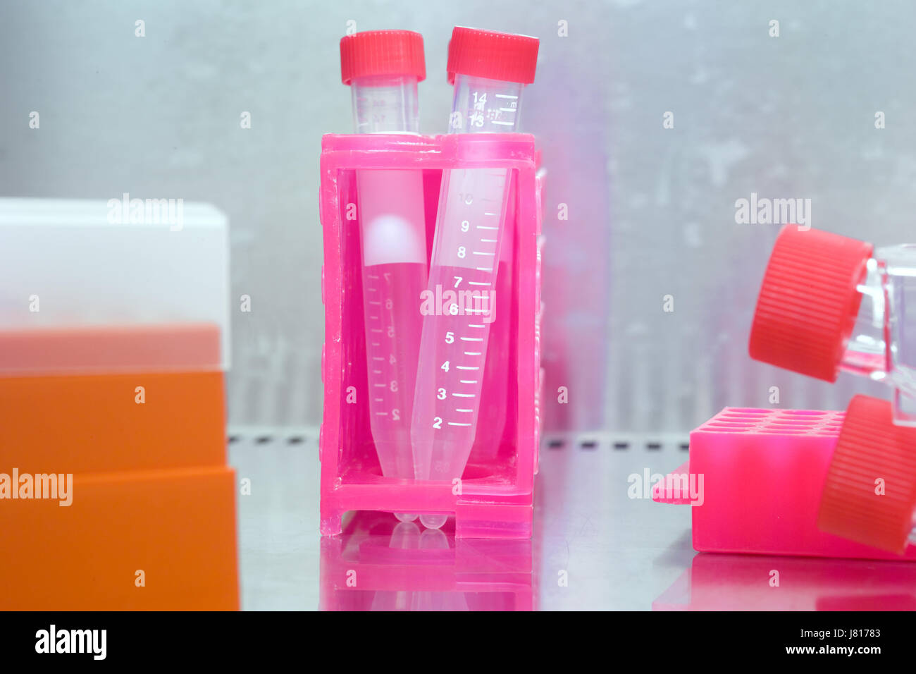 Pink plastic holder with sealed tubes of reacting chemicals, in the fume cupboard of a bioscience research laboratory. Stock Photo