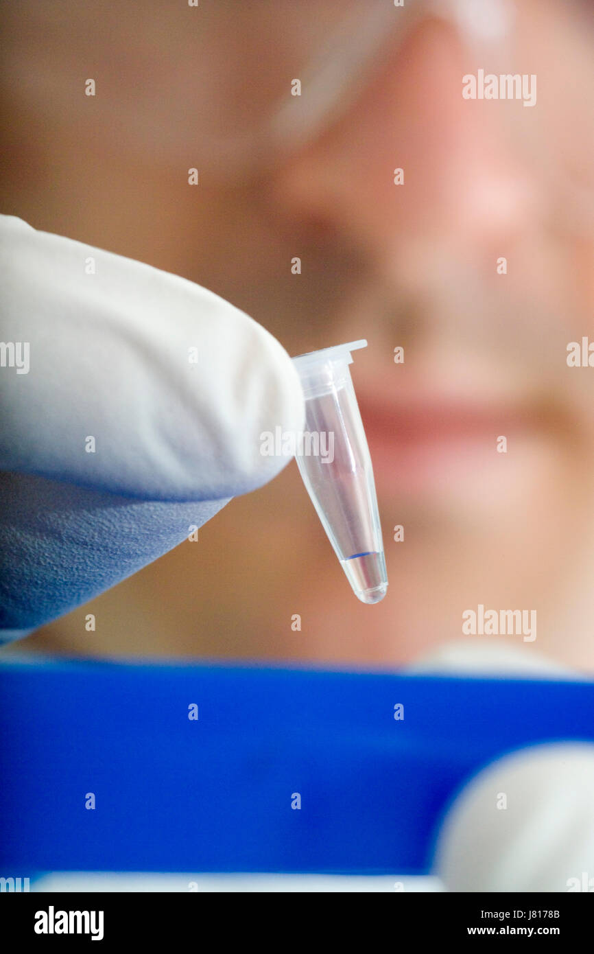 Loading a tube of DNA into a PCR (polymerase chain reaction) thermocycler machine in a UK bioscience laboratory Stock Photo