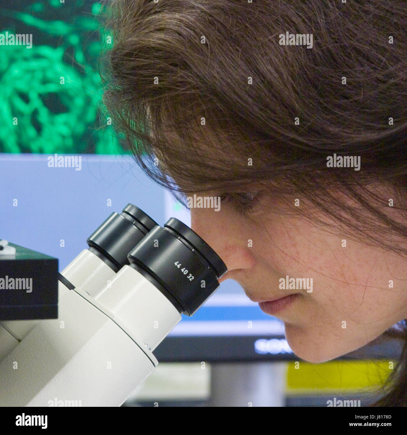 Woman scientist in bio-sciences lab looking through microscope eyepiece Stock Photo
