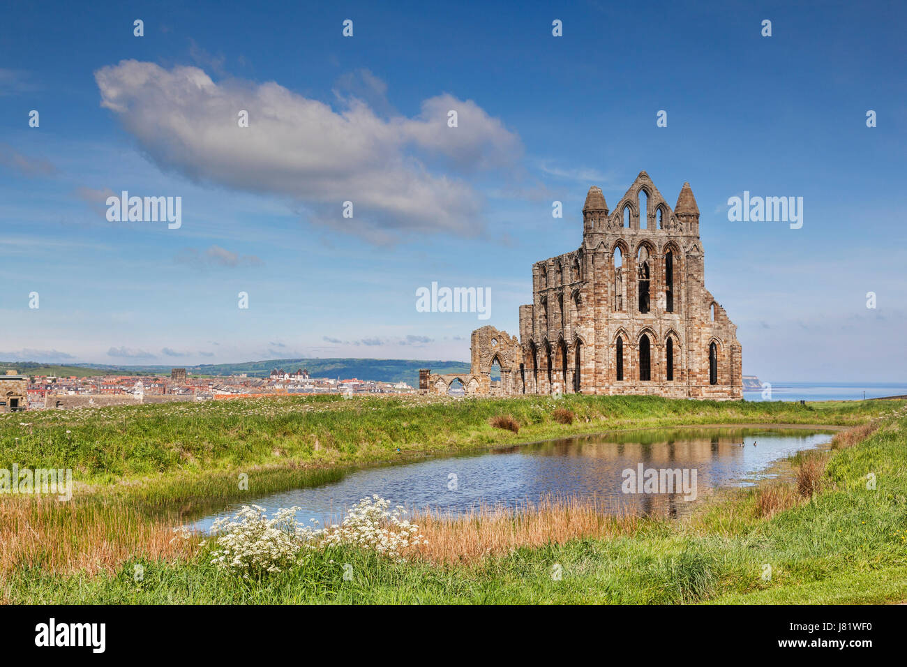 Whitby Abbey, North Yorkshire, England, UK. Photo taken from outside the grounds. Stock Photo