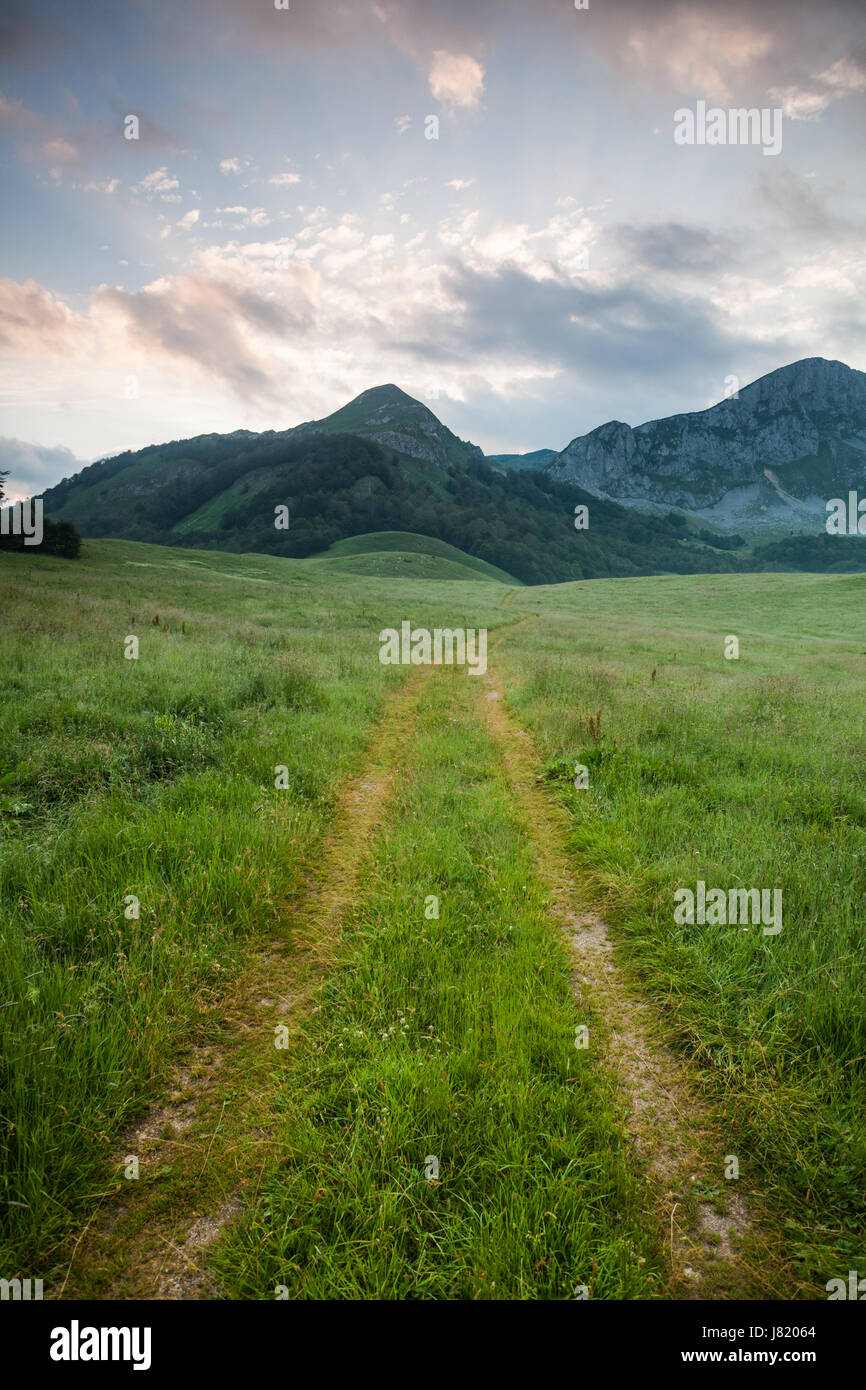 Cloudy sky with mountain forest hi-res stock photography and images - Alamy
