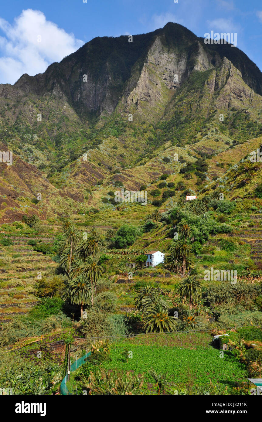 spain vegetation spanish vulcan volcano nature isle island tropical portrait Stock Photo