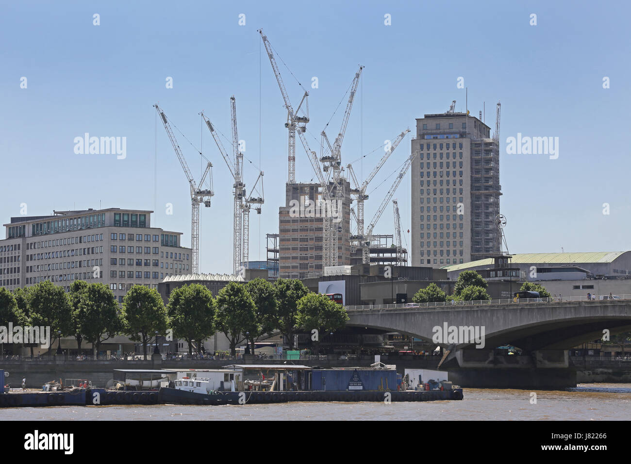 A forest of tower cranes surround the construction site at the redevelopment of the Shell Centre on London's south bank, UK Stock Photo