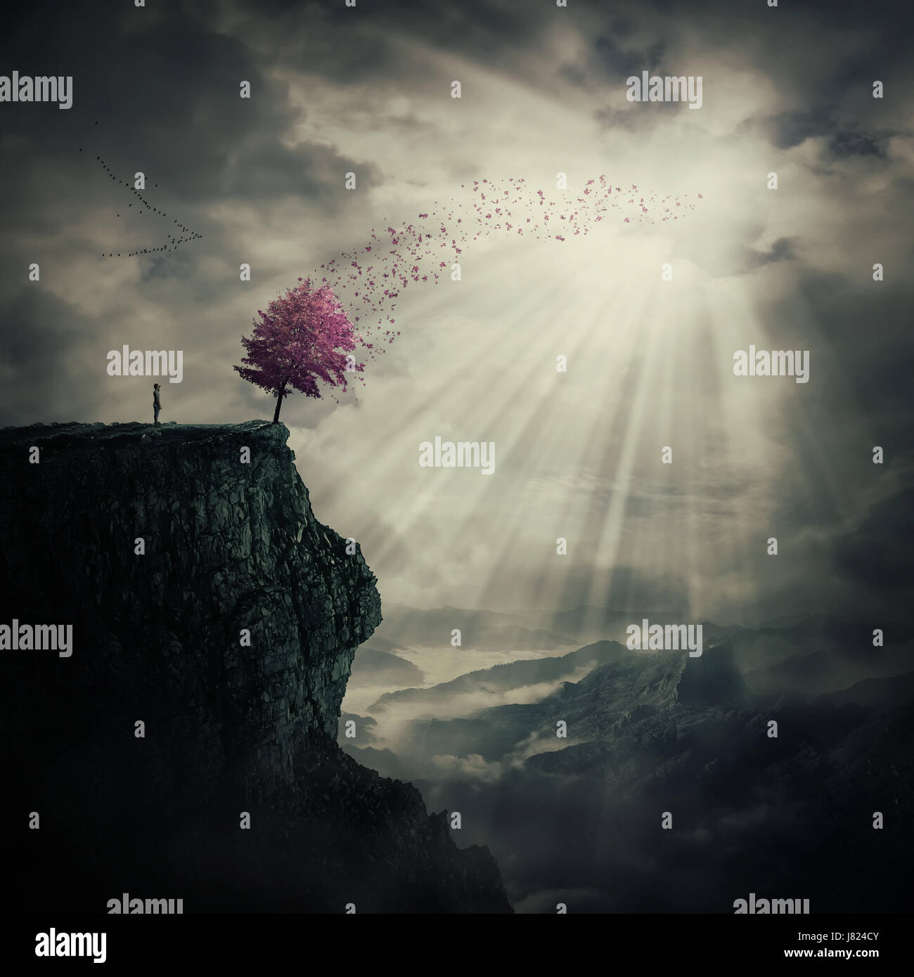Wind blowing tree hi-res stock photography and images - Alamy