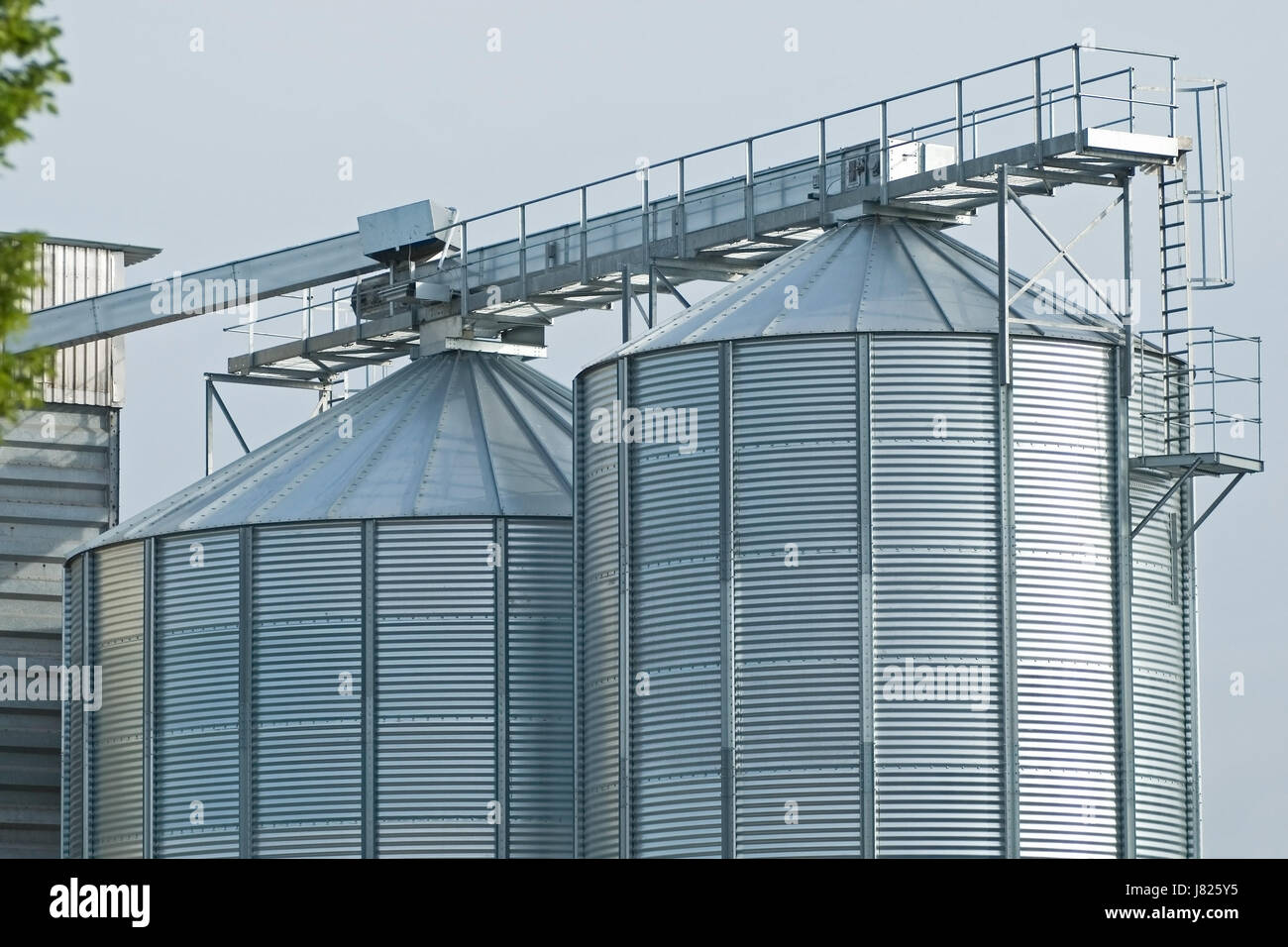 agriculture farming bulk silo silos agriculture farming rise climb climbing Stock Photo