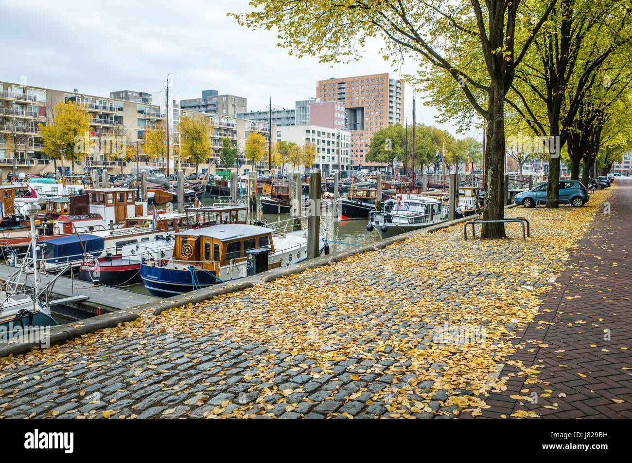 Autumn in Rotterdam, Netherlands Stock Photo Alamy
