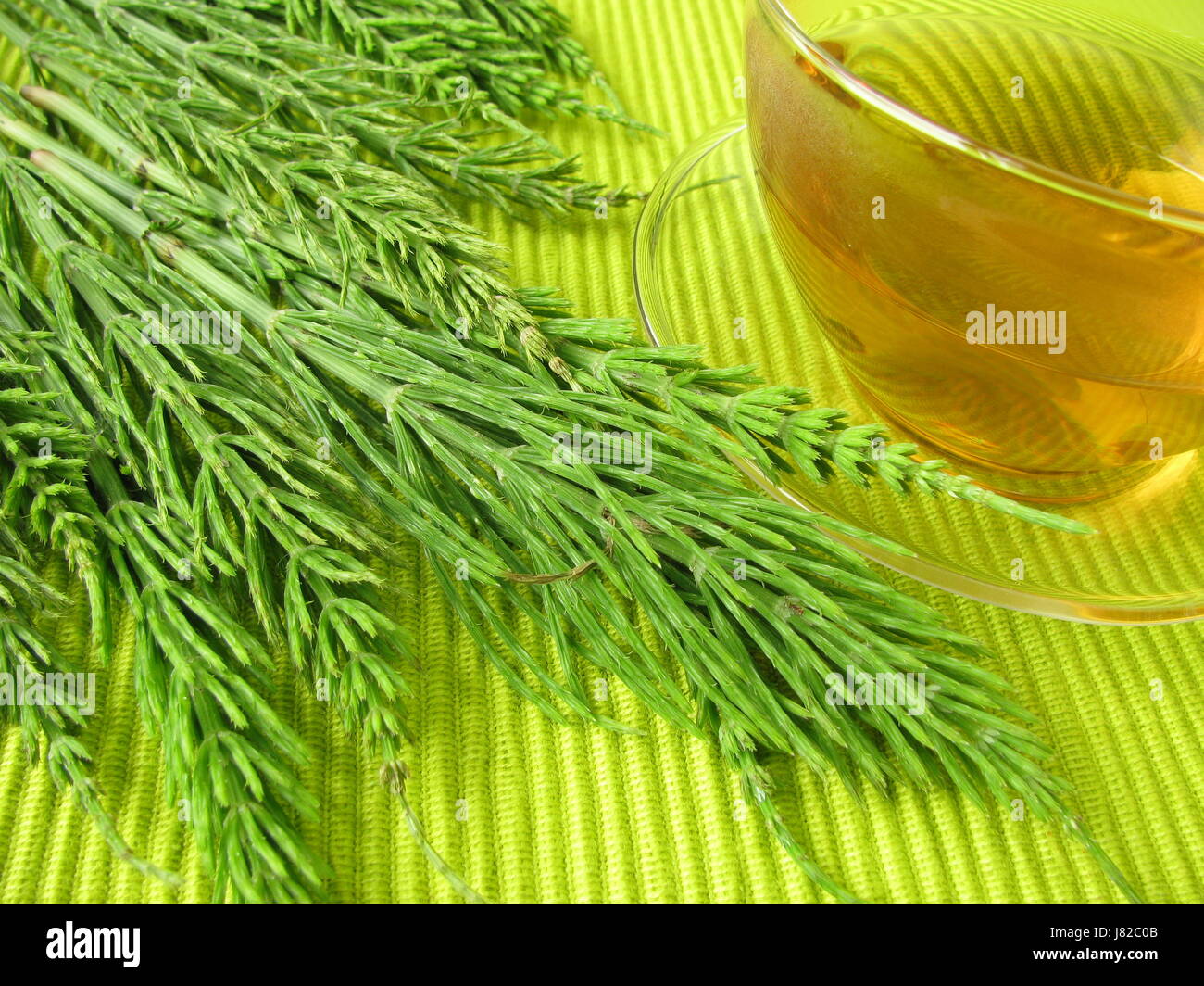 tea with field horsetail Stock Photo Alamy