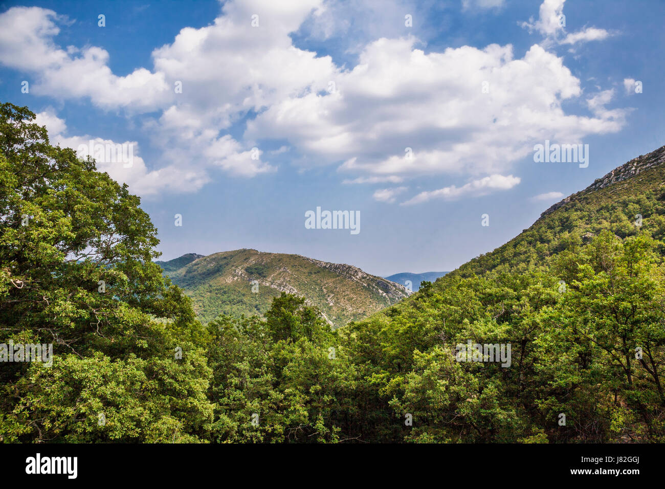 France, Languedoc-Roussillon-Midi-Pyrenees region, department Gard, view from Col du Lac in the Cevennes near Sumene Stock Photo