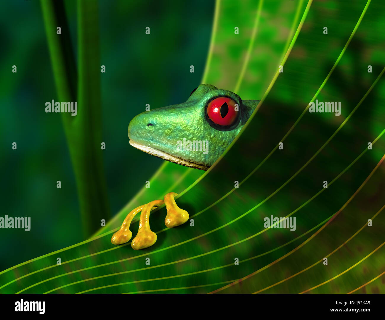 frog greenback tree frog forest leaf animal amphibian green wild ...