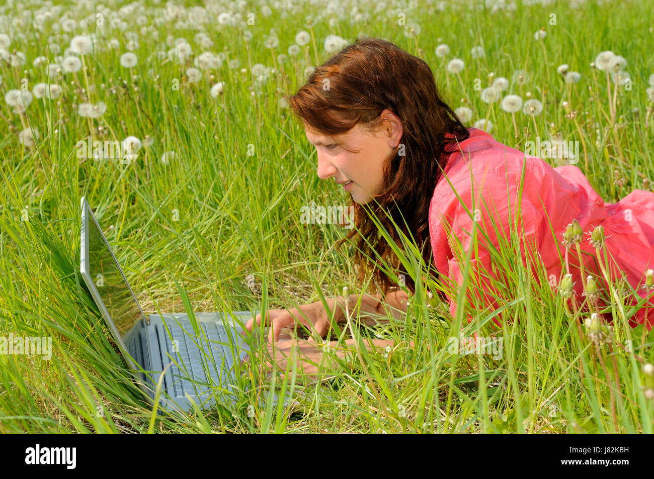 meadow young woman with laptop on a Stock Photo
