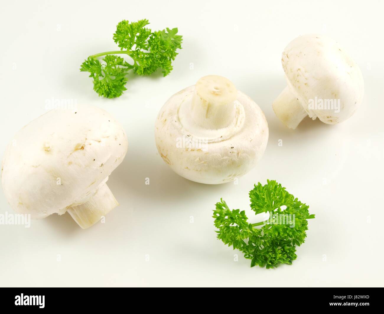isolated vegetable mushroom fungus parsley white food aliment objects isolated Stock Photo Alamy
