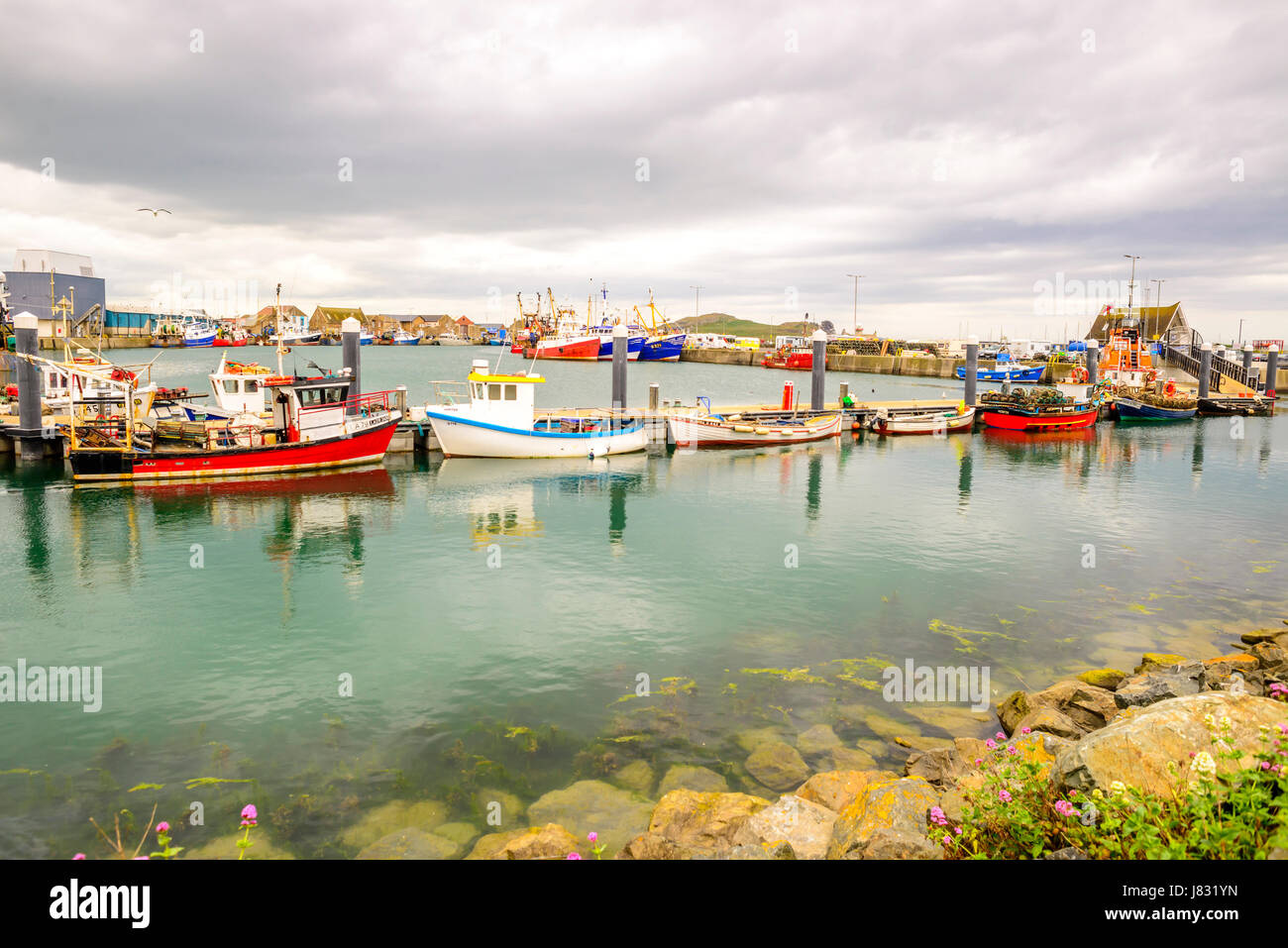 View of Howth Harbour with colorful boats in the foreground Stock Photo