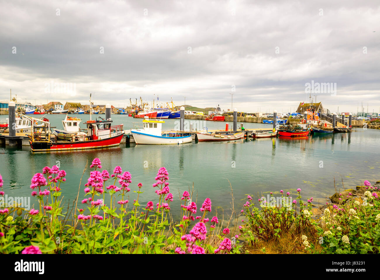 View of Howth Harbour with colorful boats in the foreground Stock Photo