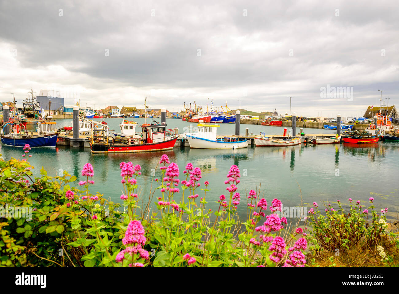 View of Howth Harbour with colorful boats in the foreground Stock Photo