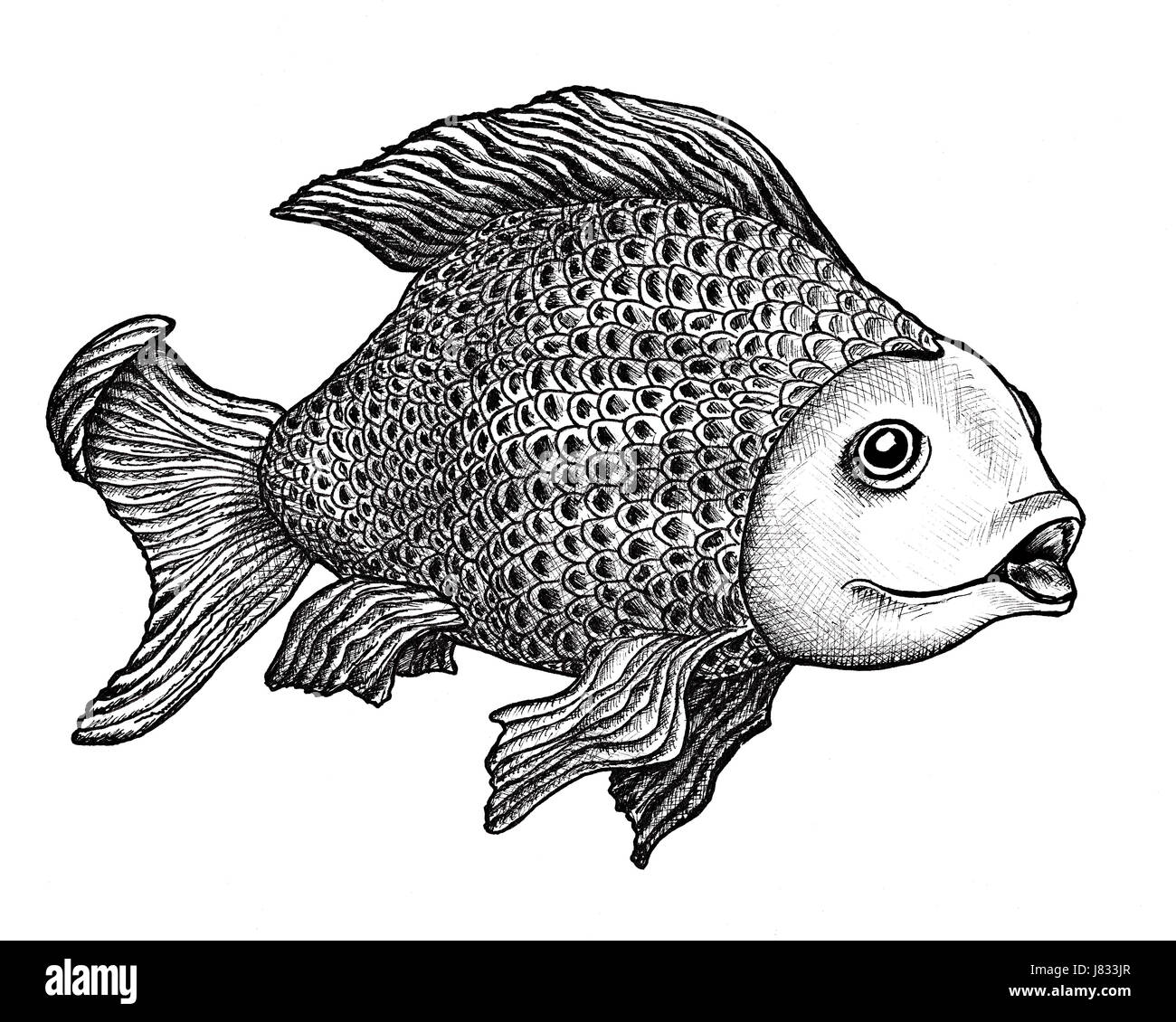 Ink Drawings Of Fish Ink Drawings Of Fish