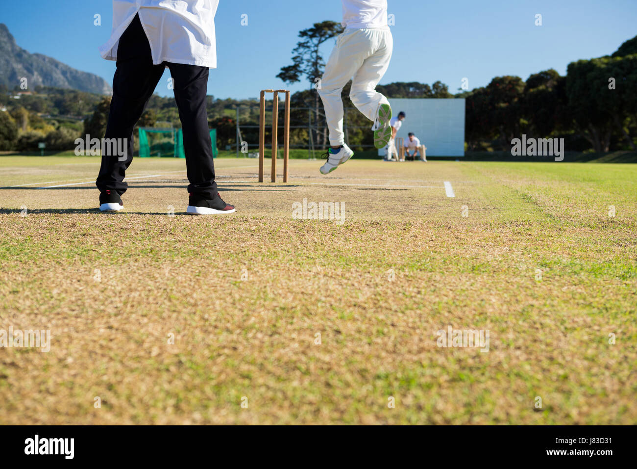 Close up of team playing cricket on pitch against sky on sunny day Stock Photo