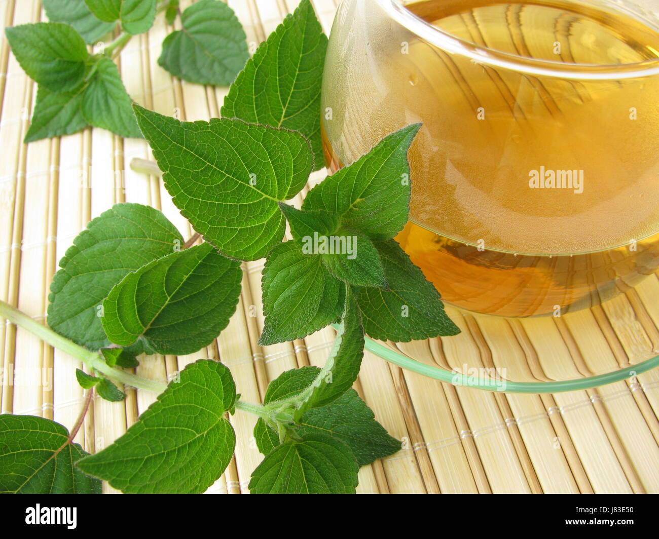 tea with honey melon sage Stock Photo