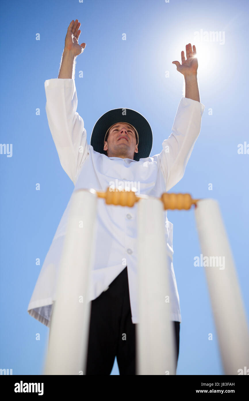 Low angle view of cricket umpire signalling six at match during sunny day Stock Photo