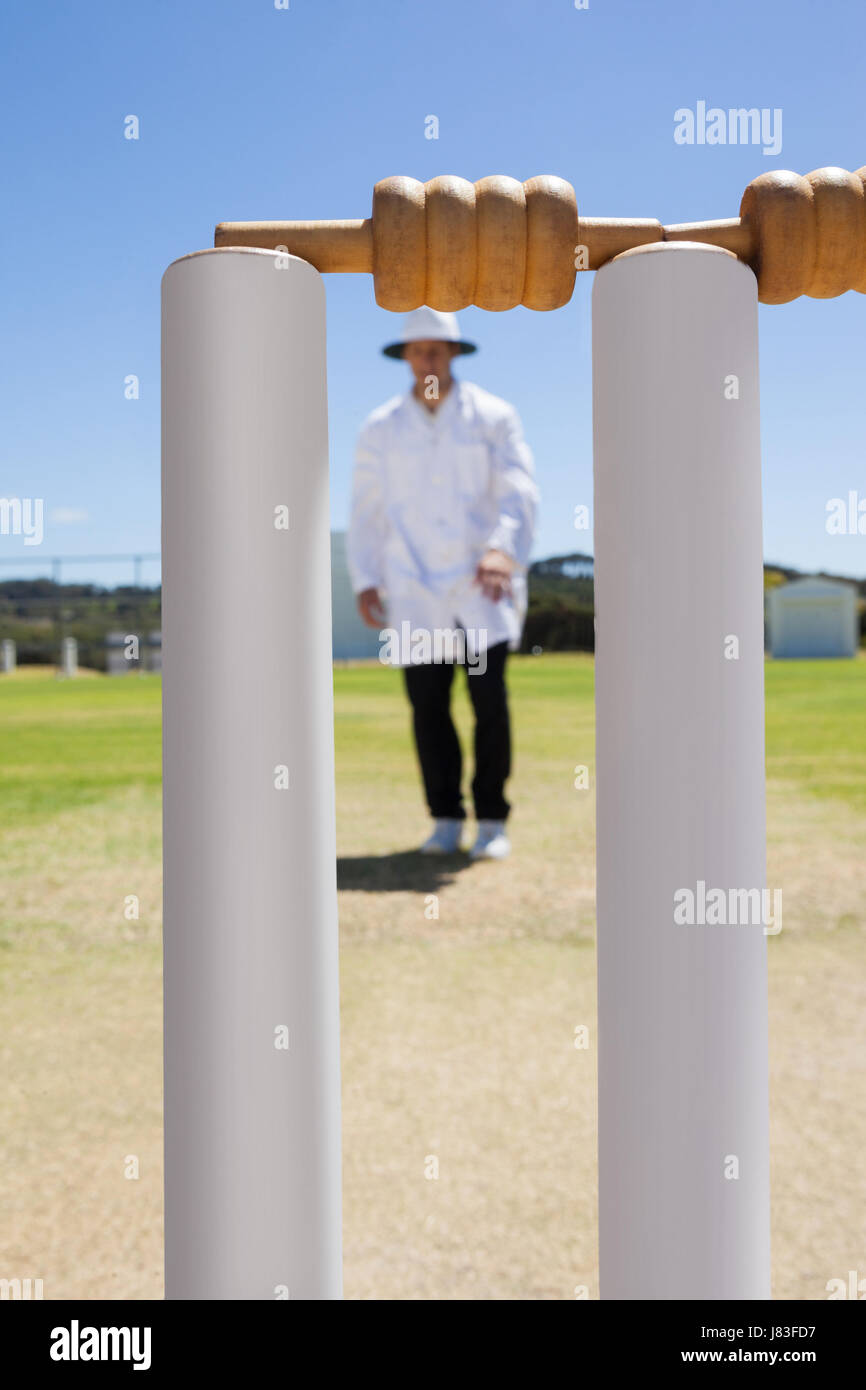 Cricket stumps against referee standing on field against sky Stock Photo