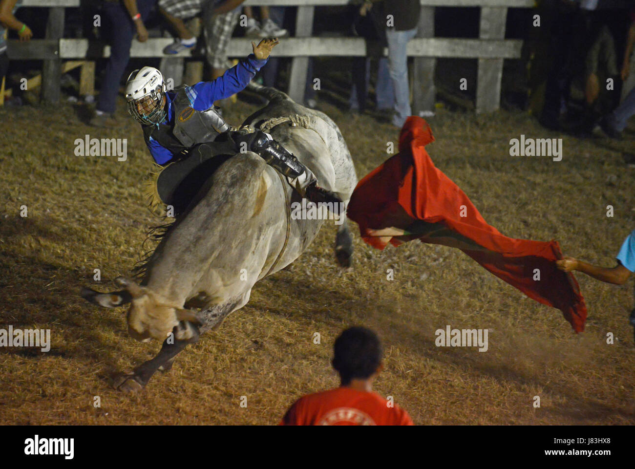 A bull rider balances on the back of a bucking bull in the ring of the ...
