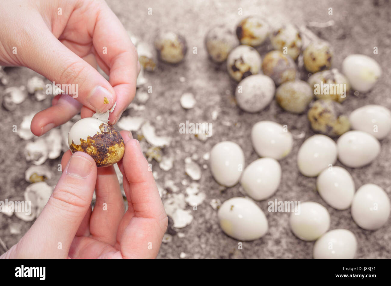 Peeling off quail eggs. Hands holding a quail egg and taking off the