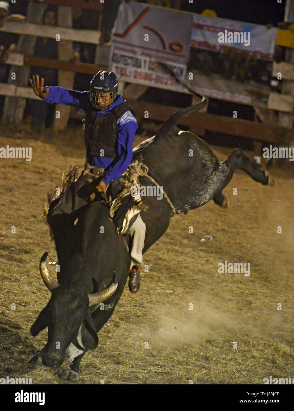 A bull rider balances himself in the ring of the Nicoya bull riding ...