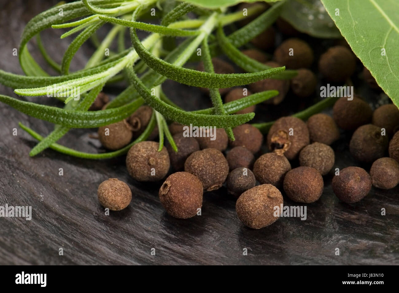 salt detail spice herb rosemary allspice ingredient fresh food aliment