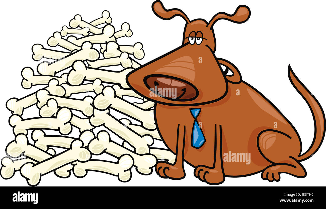 pet dog illustration bone cartoon rich in calories rich thick wide fat