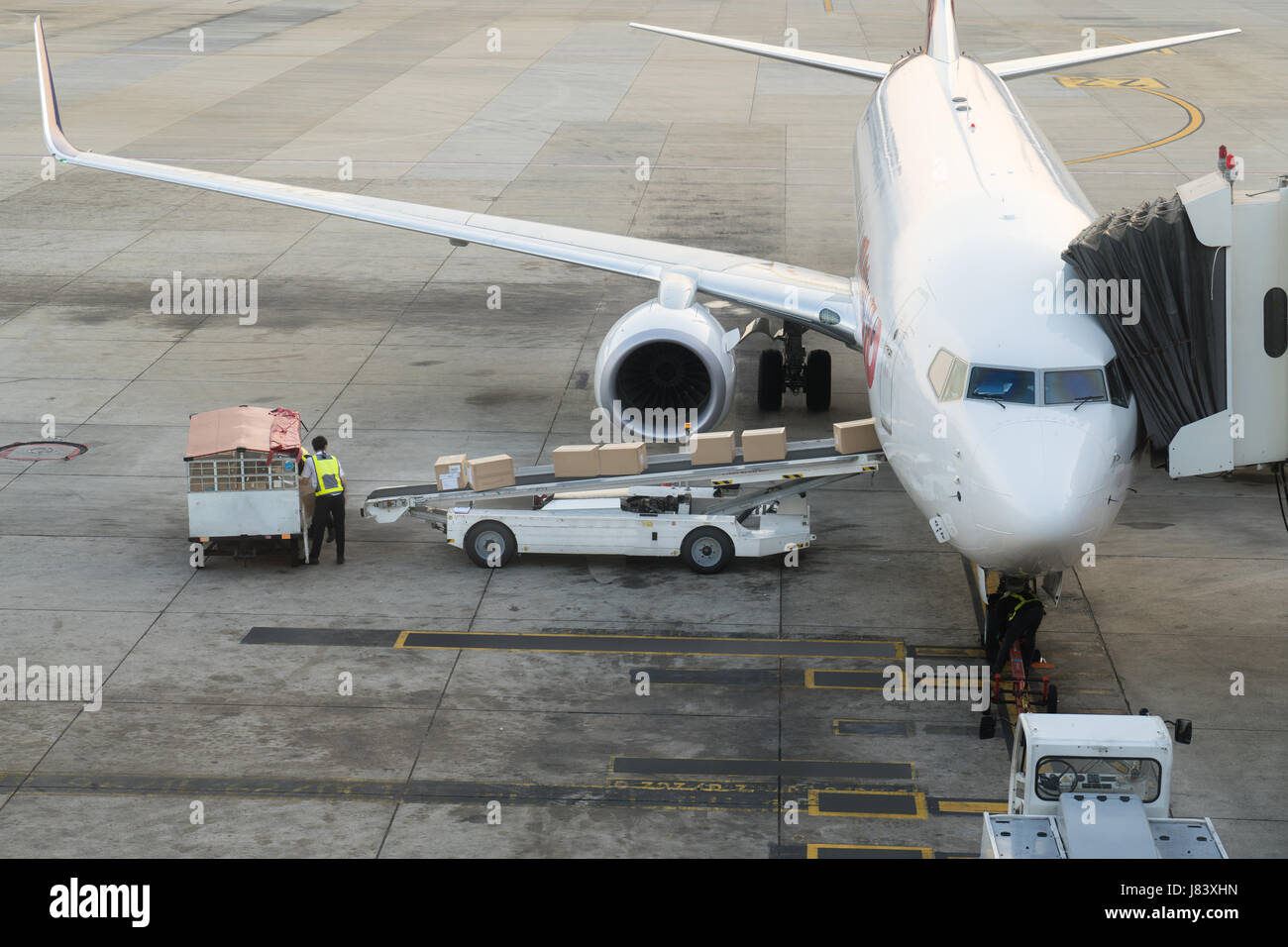 Loading cargo on the plane in airport. Cargo airplane loading or unloading in airport. Stock Photo