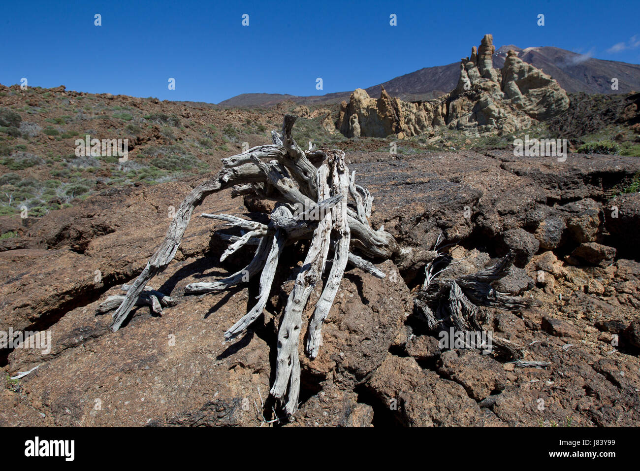 dryness drought sparse stinted water stone national park europe spain dryness Stock Photo