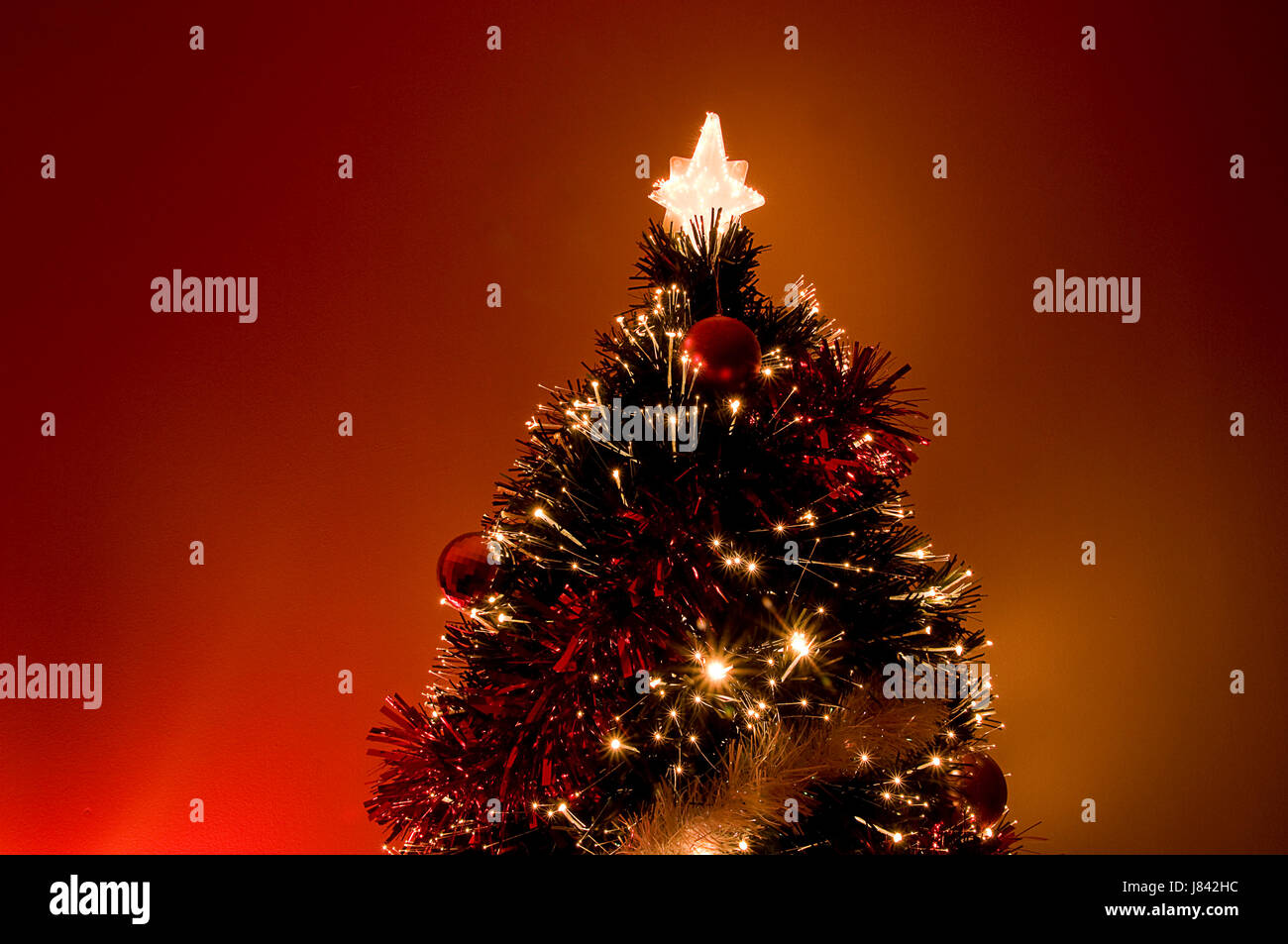 inside holiday colour tree green lights pine new coloured colourful Stock Photo Alamy