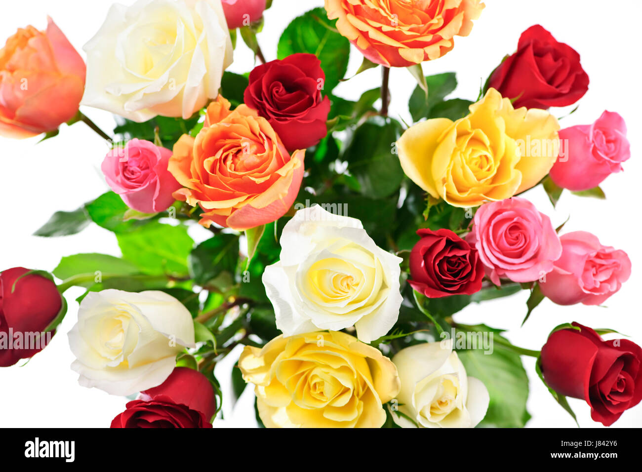 arrangement flower rose plant flowers roses bouquet assorted above top ...