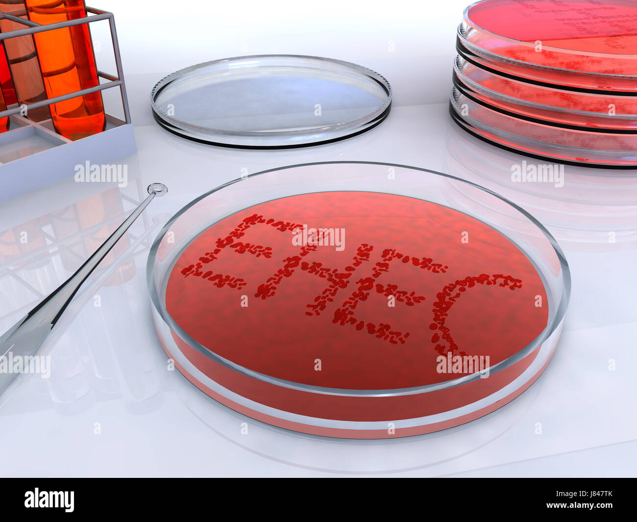 virus viruses exciter petri dish ehec germs science research reaction test Stock Photo