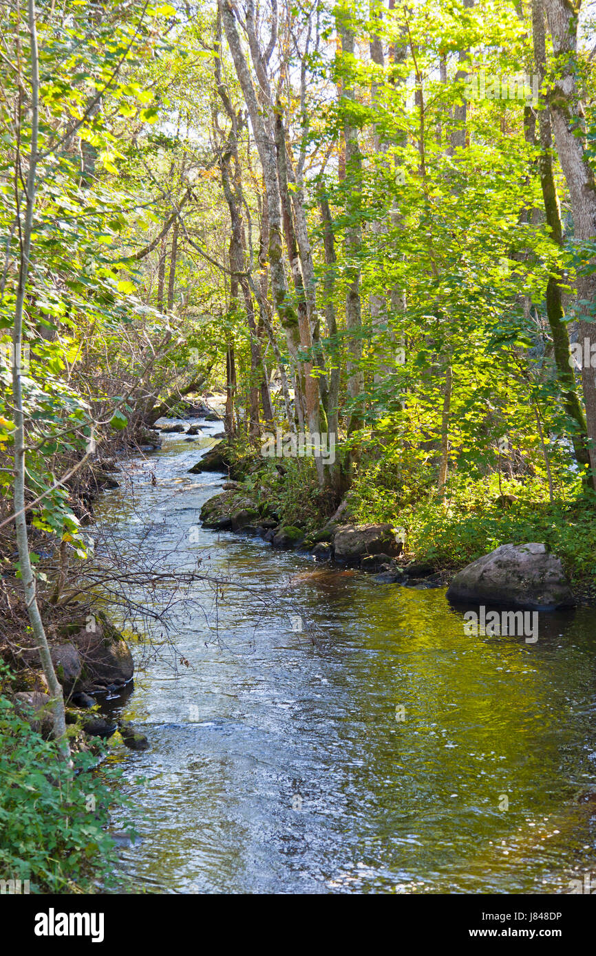Stream Woods Landscape Scenery Countryside Nature Creek Forest River