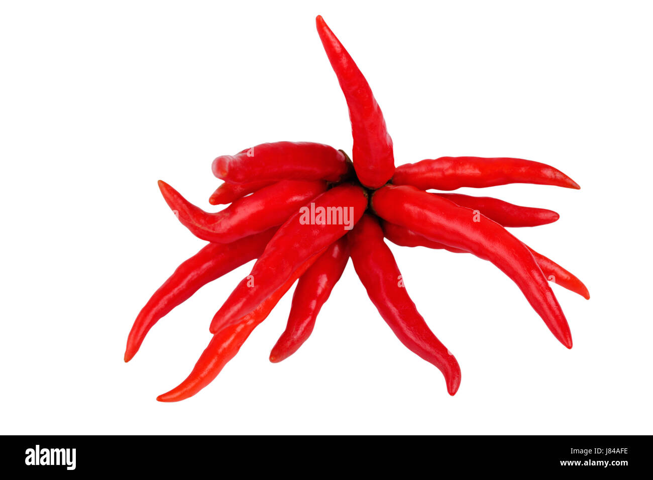 food aliment pepper arrangement object spice isolated colour closeup sassy Stock Photo