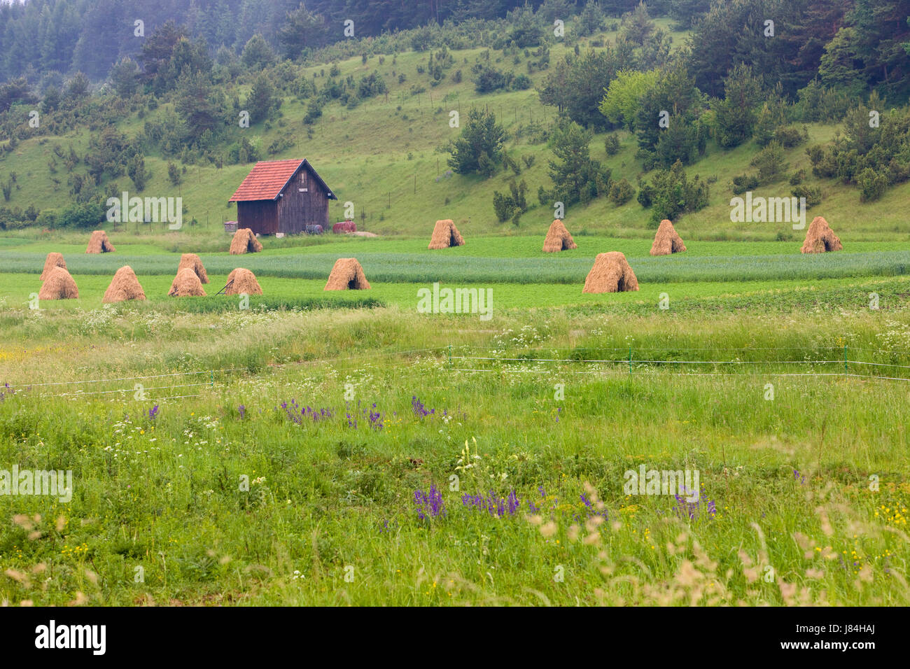 fodder slovakia agriculture farming europe outdoor meadows outside farm central Stock Photo