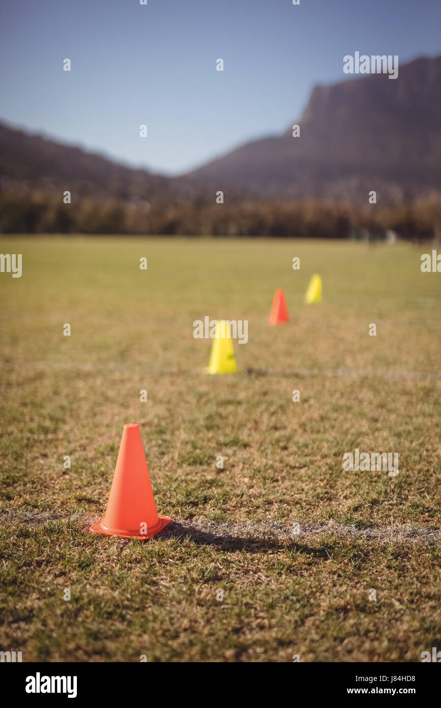 Traffic cone kept on grass in park Stock Photo