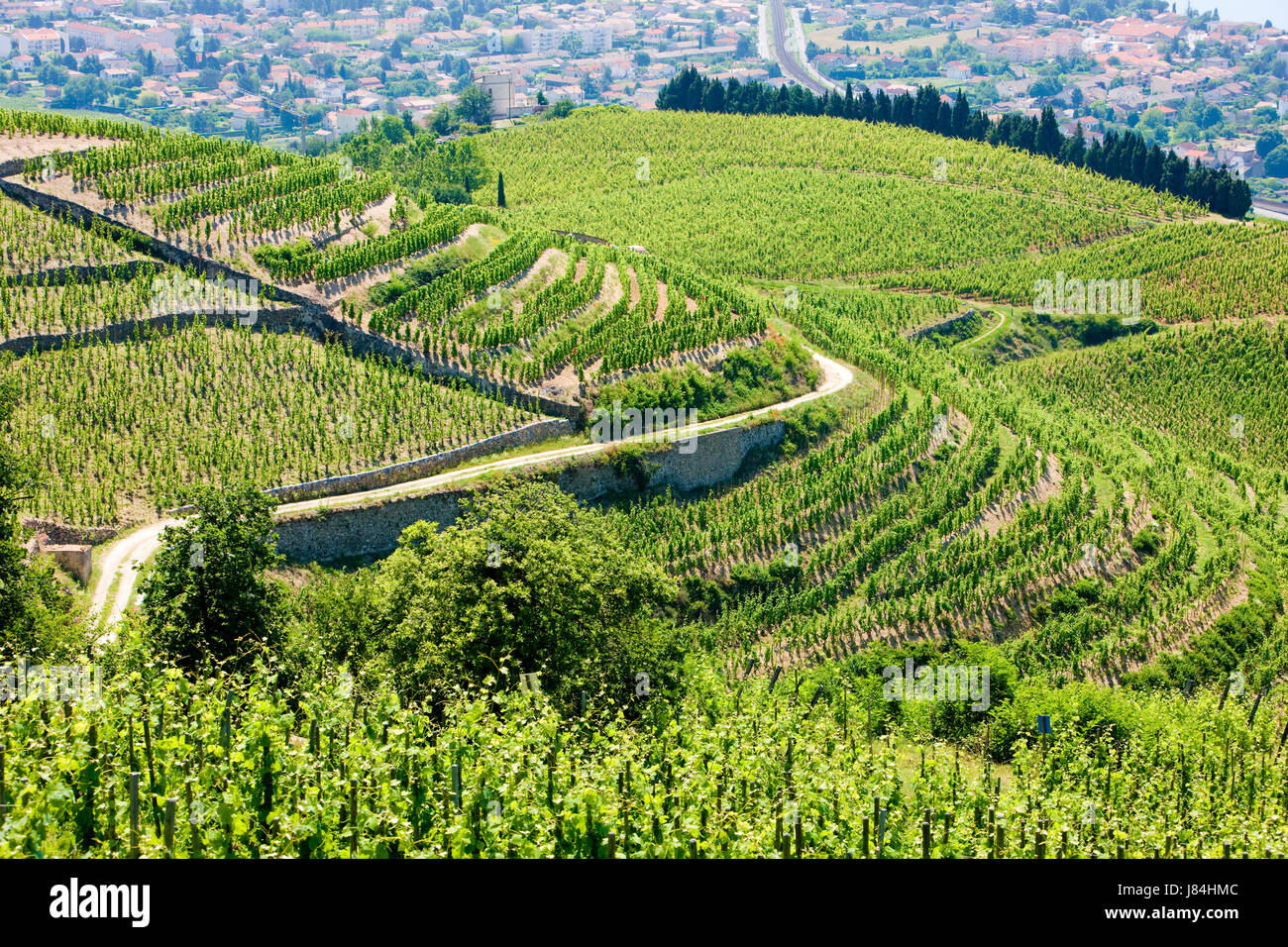Vineyard Vines Europe 2024 | towncentervb.com