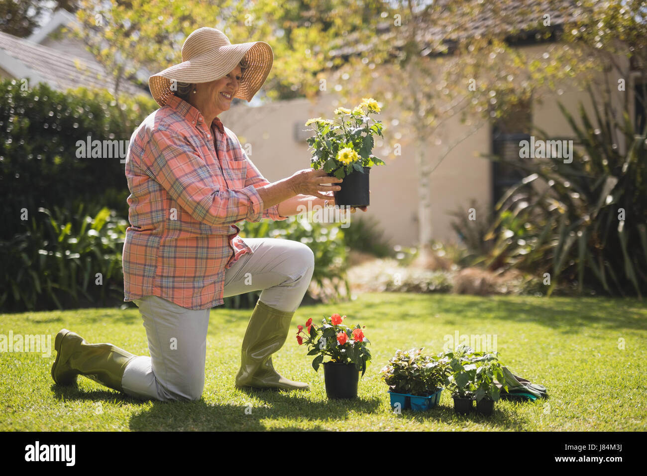 Smiling senior woman holding plant while kneeling on field in yard ...