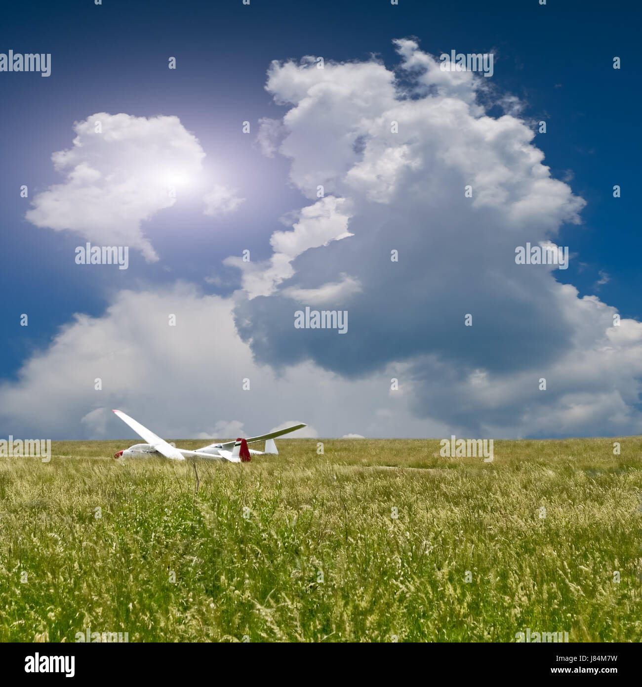 flower plant freedom liberty cloudy glider firmament sky aircraft aeroplane Stock Photo