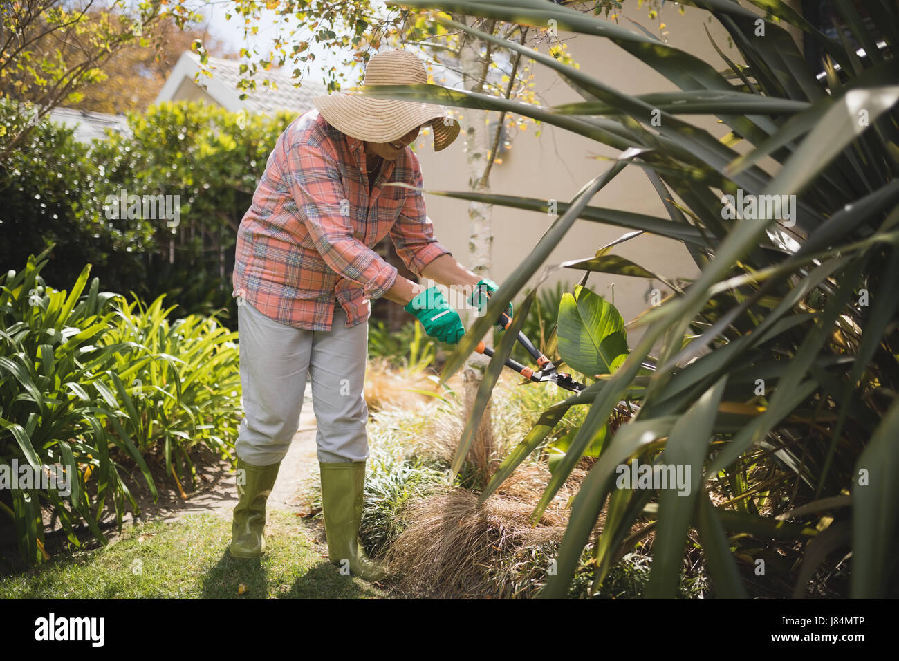 Senior woman cutting grass with hedge clippers in yard Stock Photo Alamy