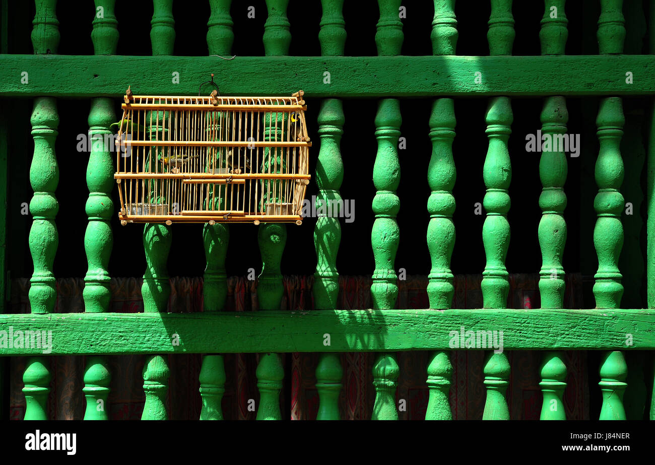 bird birds cage hope bird cage grating grate grid grille green wood