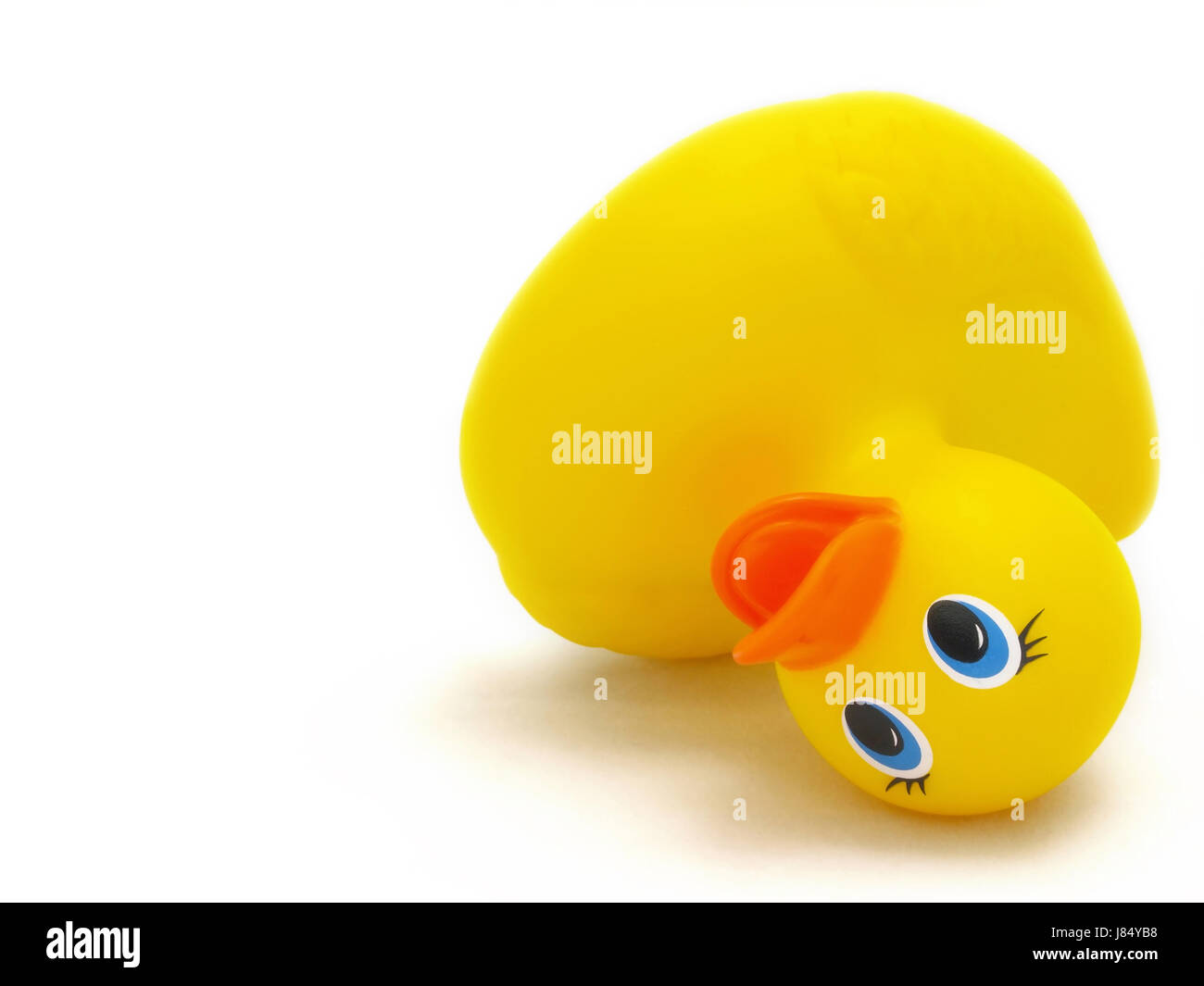 down rubber fallen duck macro close-up macro admission close up view colour Stock Photo