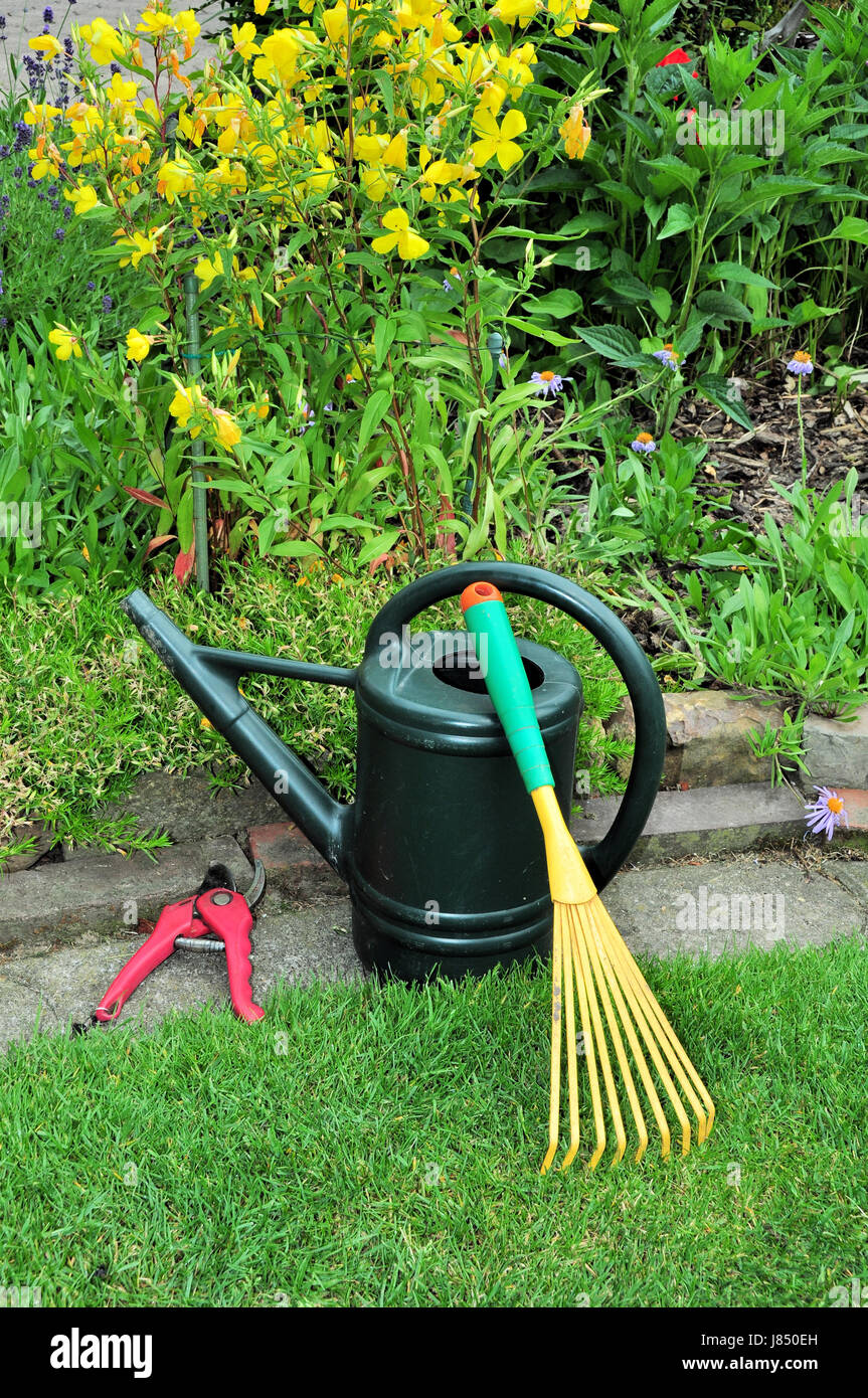 garden gardening gardens wateringcan rake garden flower flowers plant