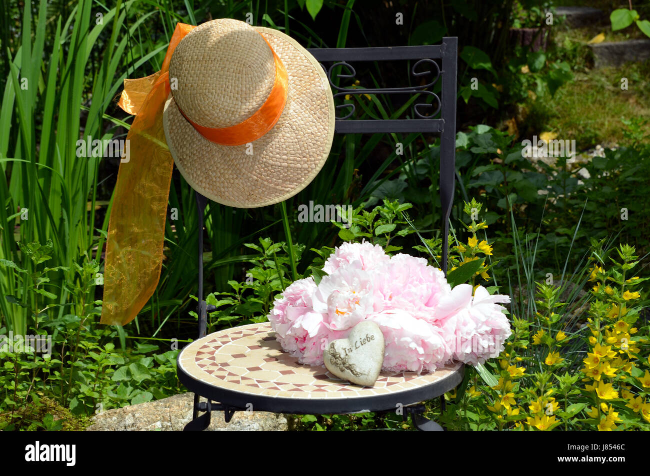 pink peonies in the garden Stock Photo - Alamy