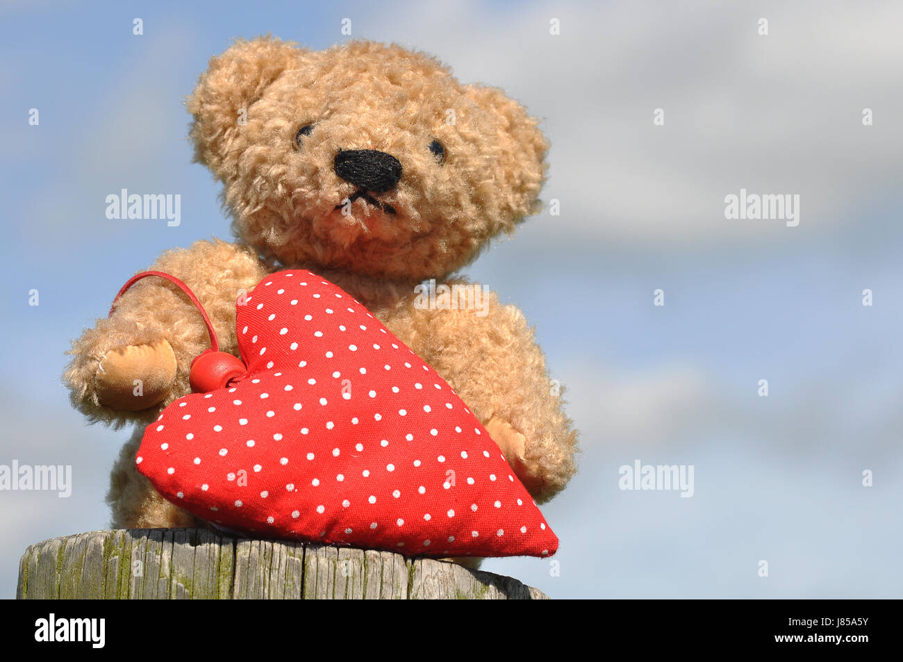 bear teddy bear teddybear hearts cuddly toy love in love fell in love heart Stock Photo