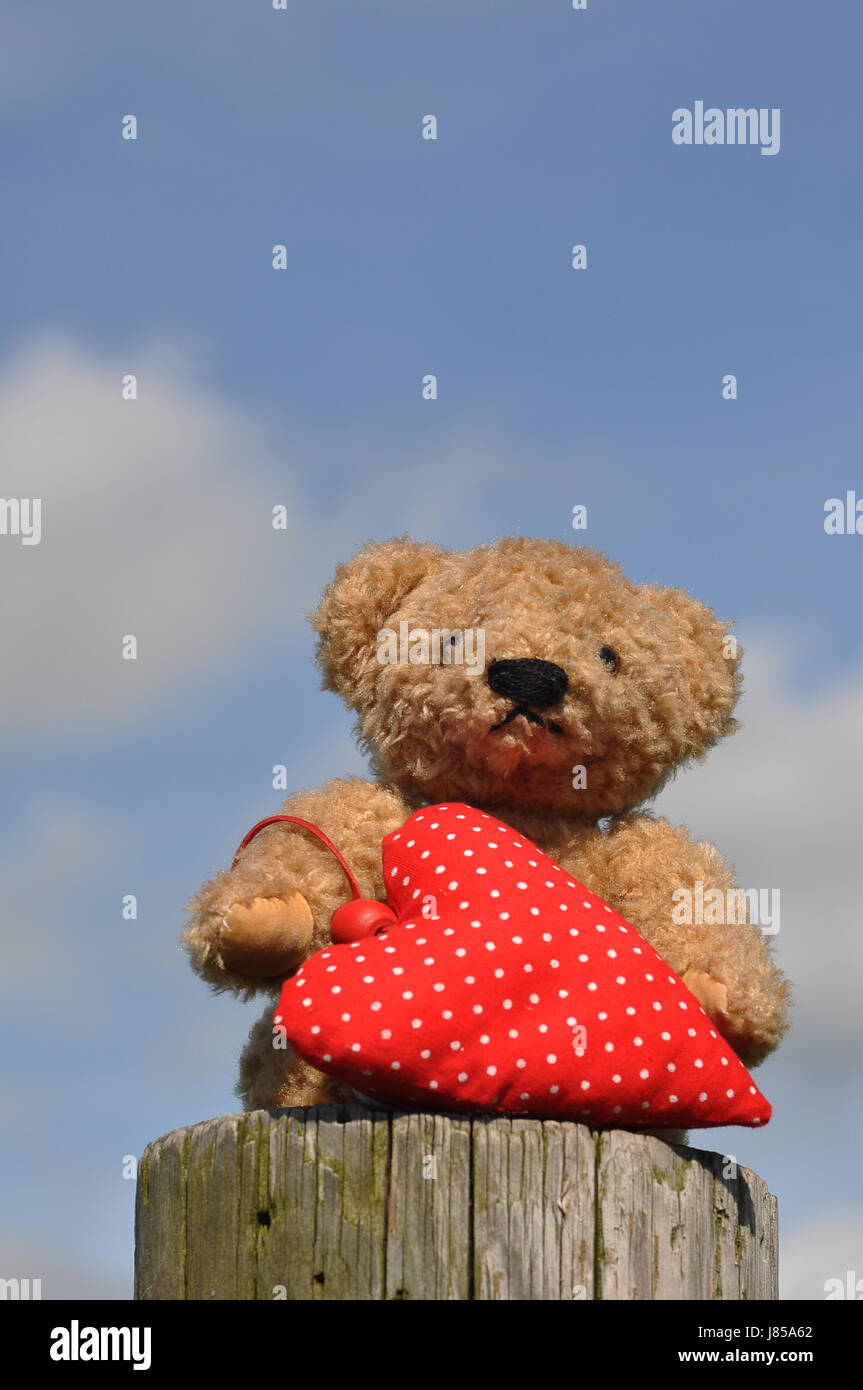 bear teddy bear teddybear hearts cuddly toy love in love fell in love heart Stock Photo