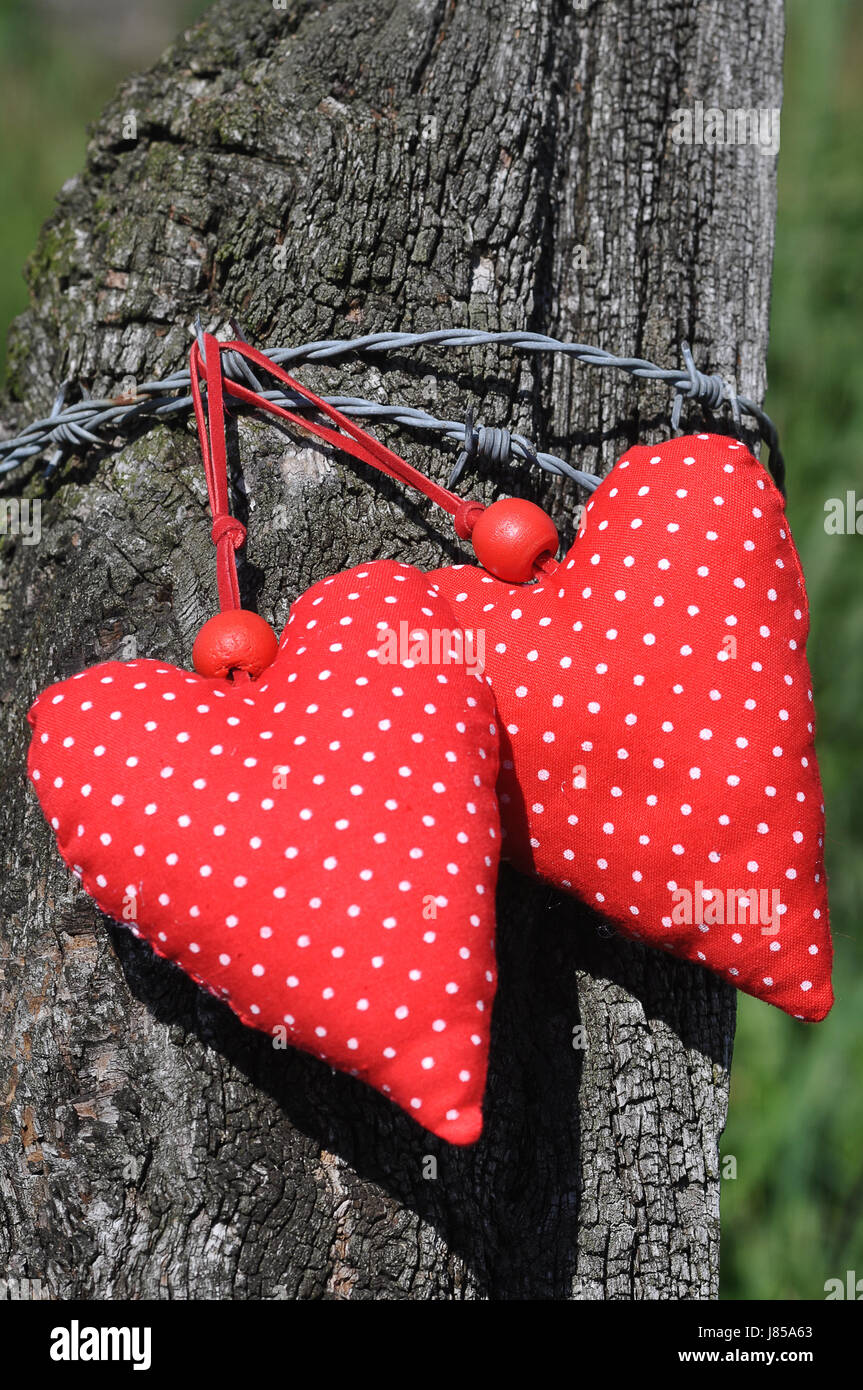 valentin love in love fell in love heart red symbolic green wood trunk dots Stock Photo