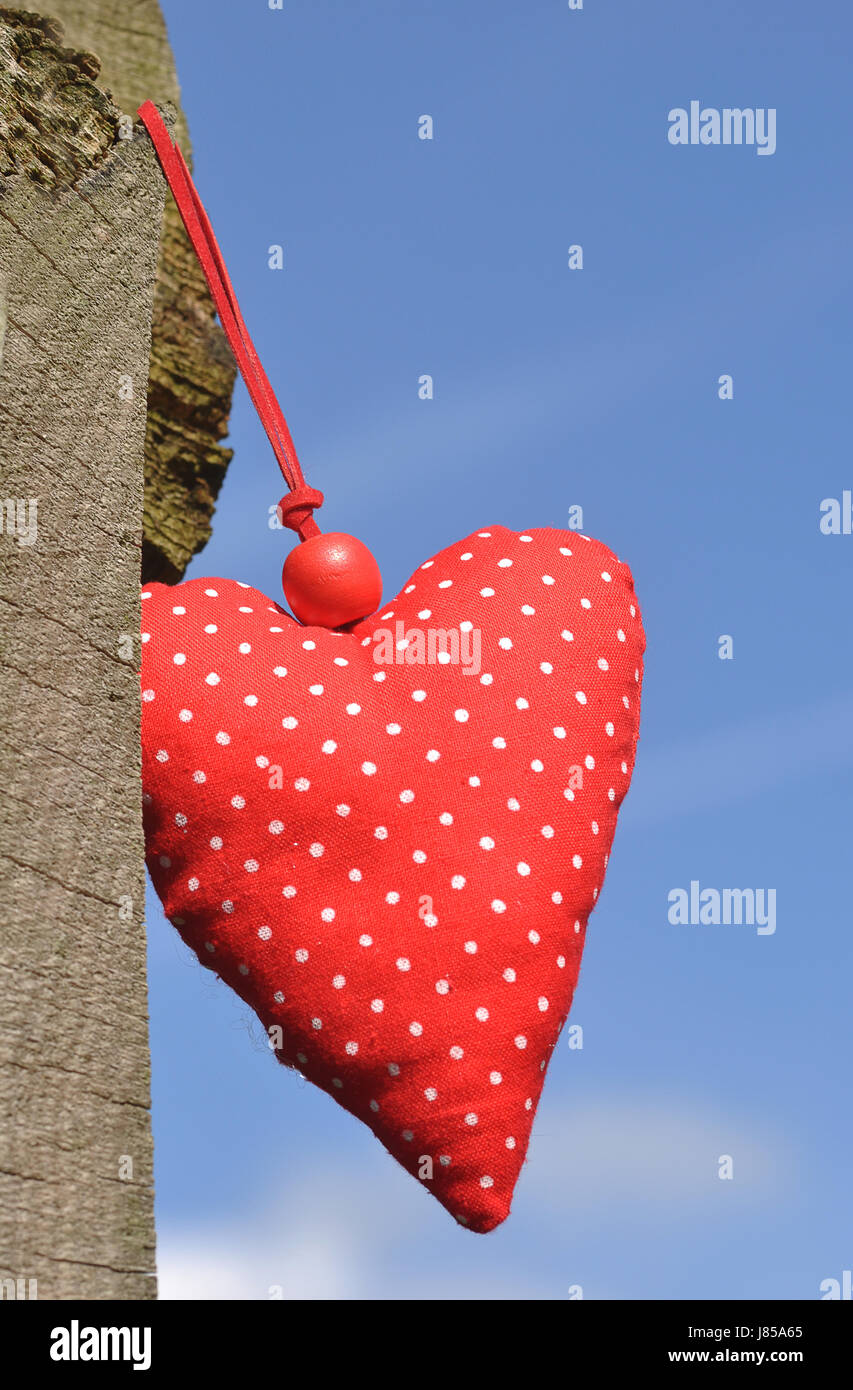hearts love in love fell in love heart red blue symbolic wood trunk dots Stock Photo